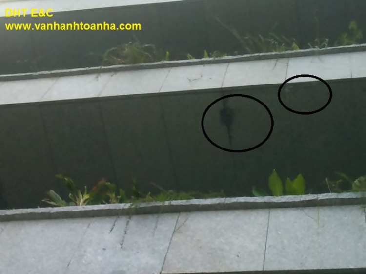 Cho em hỏi về chống thấm Cho em hỏi về chống thấm