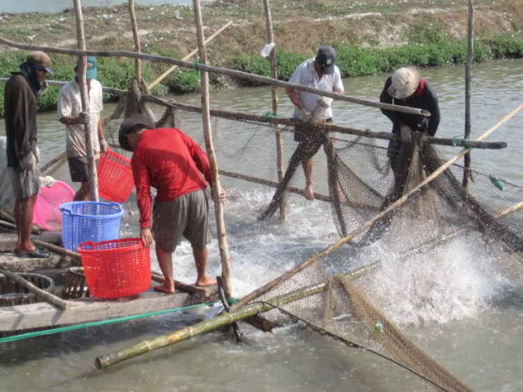 Hình ảnh chuyến du đấu tại Sa Đéc tranh cup CATRA - CATRA OPEN CUP Hình ảnh chuyến du đấu tại Sa Đéc tranh cup CATRA - CATRA OPEN CUP
