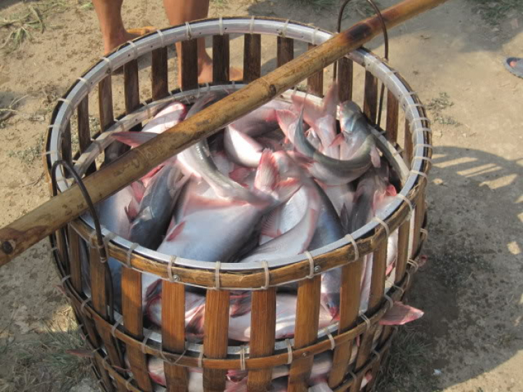 Hình ảnh chuyến du đấu tại Sa Đéc tranh cup CATRA - CATRA OPEN CUP Hình ảnh chuyến du đấu tại Sa Đéc tranh cup CATRA - CATRA OPEN CUP