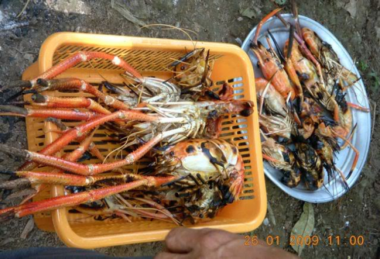 sáng Chủ Nhật 8/7 anh em KIAfc đi bắn Súng sơn Q9 xong đi ăn tôm sông luôn nhé mấy bác