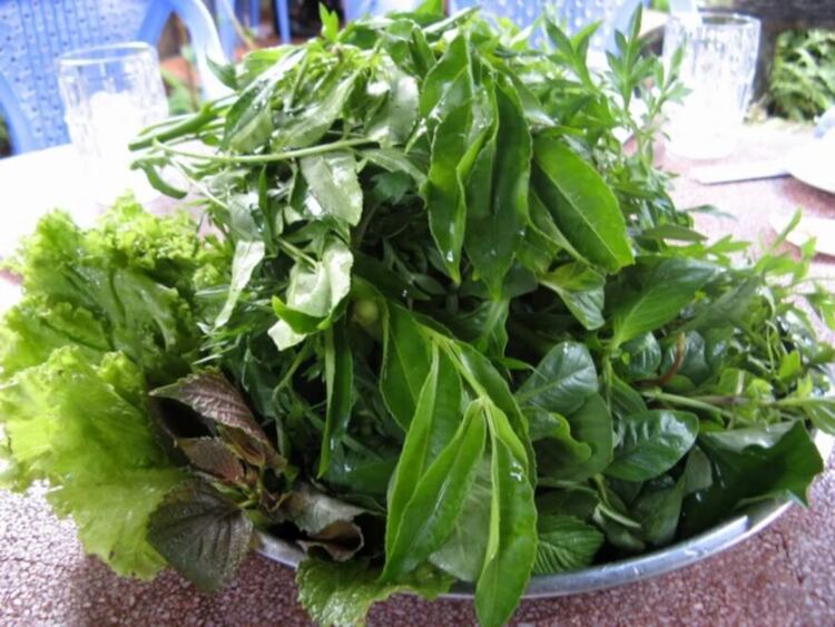 sáng Chủ Nhật 8/7 anh em KIAfc đi bắn Súng sơn Q9 xong đi ăn tôm sông luôn nhé mấy bác sáng Chủ Nhật 8/7 anh em KIAfc đi bắn Súng sơn Q9 xong đi ăn tôm sông luôn nhé mấy bác