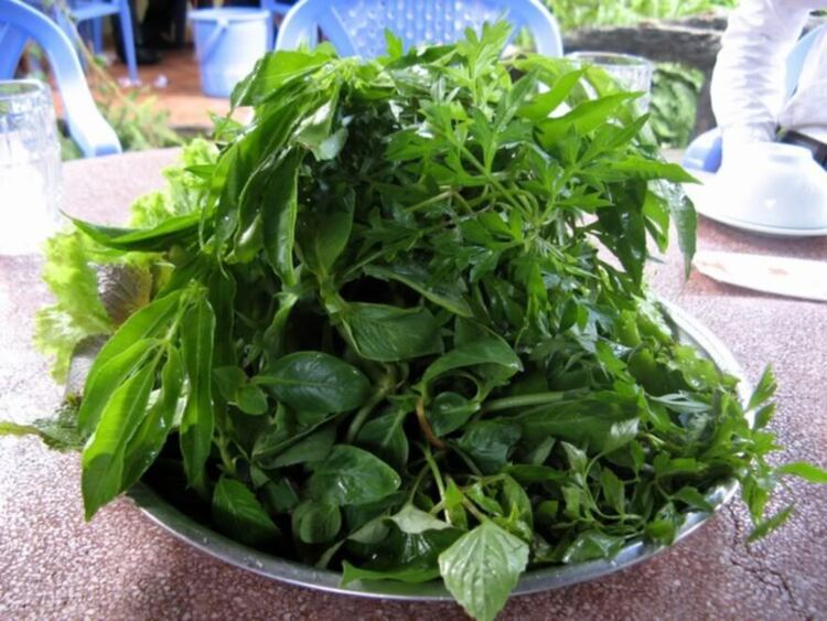 sáng Chủ Nhật 8/7 anh em KIAfc đi bắn Súng sơn Q9 xong đi ăn tôm sông luôn nhé mấy bác sáng Chủ Nhật 8/7 anh em KIAfc đi bắn Súng sơn Q9 xong đi ăn tôm sông luôn nhé mấy bác