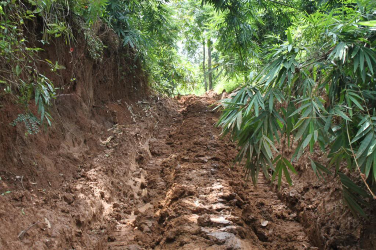 Daknong-Dakno Hành trình chinh phục đỉnh mùa đông hay cuộc hành xác của những kẻ khùng