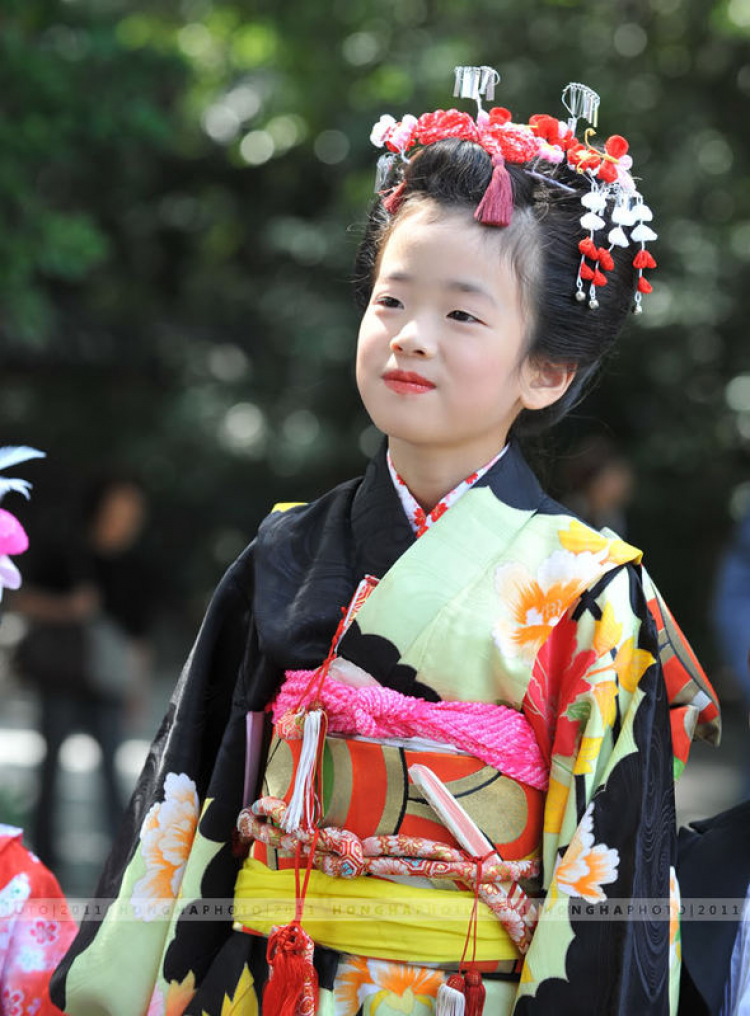 Chân dung các bé gái Nhật trong trang phục Kimono