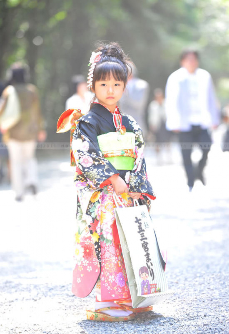 Chân dung các bé gái Nhật trong trang phục Kimono