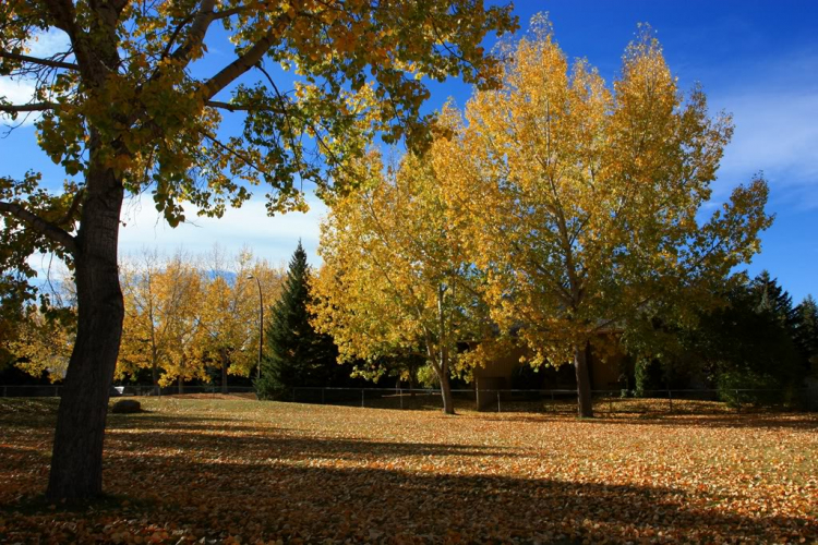 Một góc nhìn nhỏ về cuộc sống Canada. Một góc nhìn nhỏ về cuộc sống Canada.
