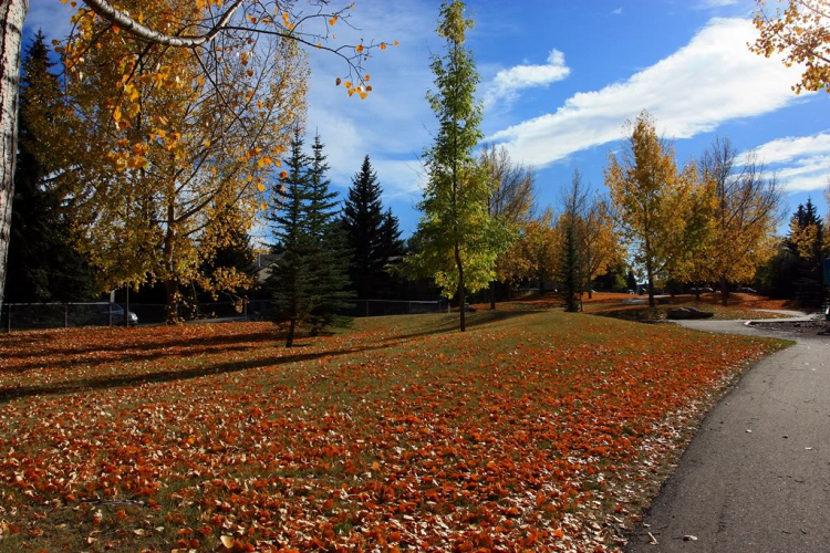 Một góc nhìn nhỏ về cuộc sống Canada.