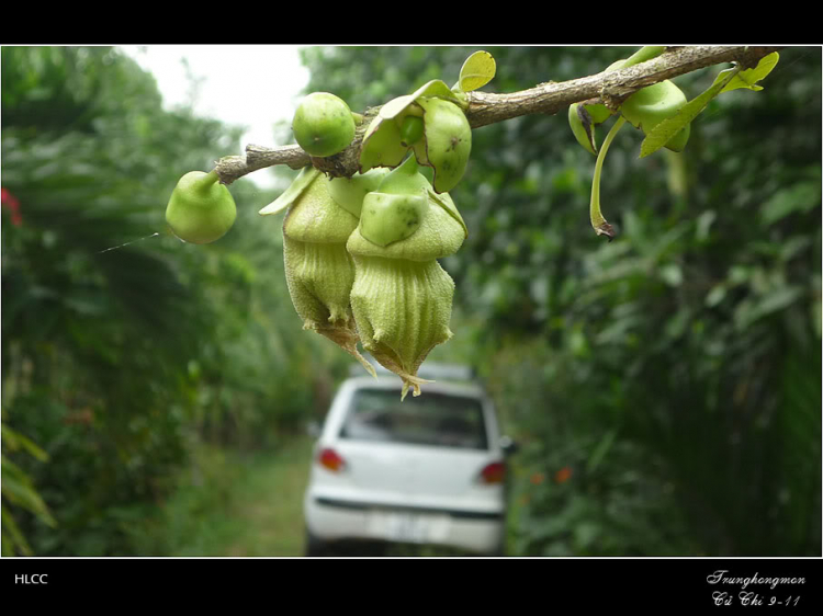 [Matiz] Khoe xe bèo nè! (Cập nhật trang 1)