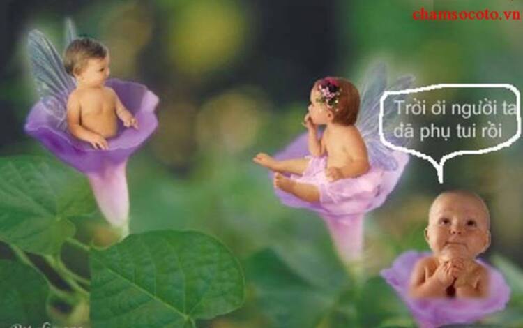 Góc cười xóm nhà lá. Góc cười xóm nhà lá.