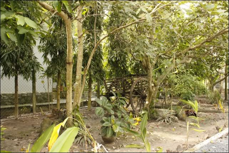 Hoàng Thái Bảo Gia Trang - Củ Chi