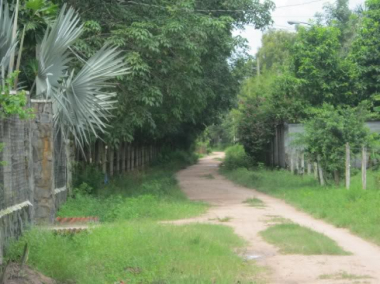 Hoàng Thái Bảo Gia Trang - Củ Chi Hoàng Thái Bảo Gia Trang - Củ Chi