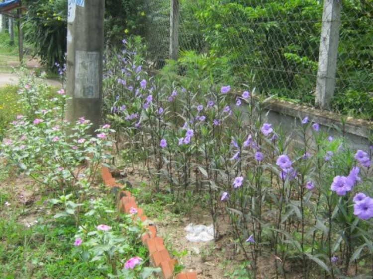 Hoàng Thái Bảo Gia Trang - Củ Chi