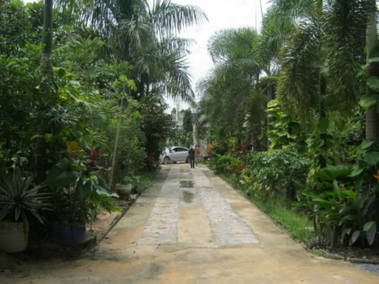 Hoàng Thái Bảo Gia Trang - Củ Chi Hoàng Thái Bảo Gia Trang - Củ Chi