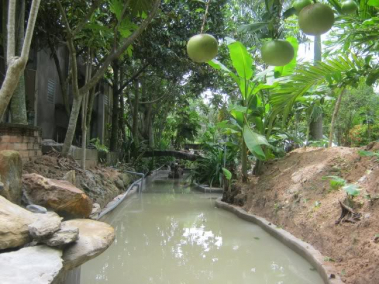 Hoàng Thái Bảo Gia Trang - Củ Chi Hoàng Thái Bảo Gia Trang - Củ Chi