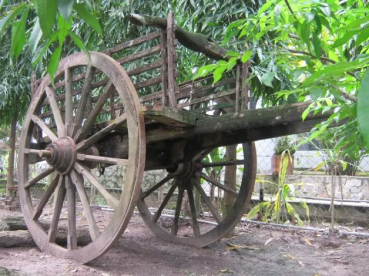 Hoàng Thái Bảo Gia Trang - Củ Chi Hoàng Thái Bảo Gia Trang - Củ Chi