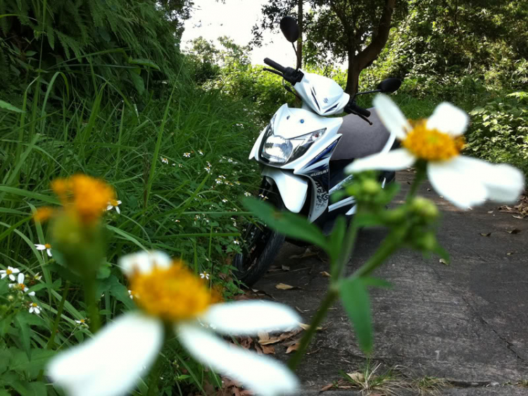 Ảnh nóng Suzuki Hayate 2011 ở VN. Ảnh nóng Suzuki Hayate 2011 ở VN.