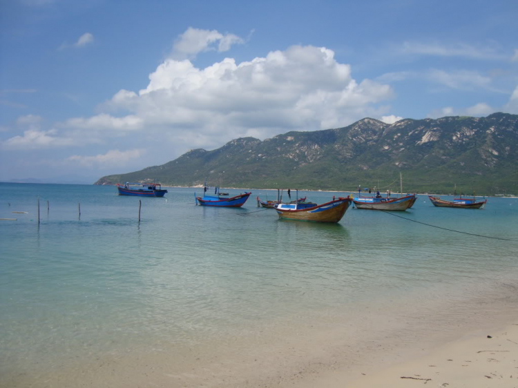 Bản tin XNL – Nha Trang