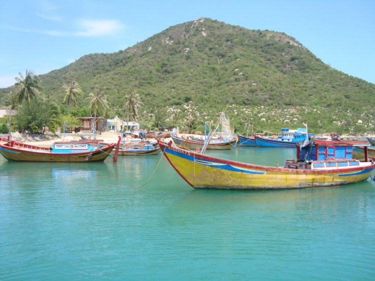 Bản tin XNL – Nha Trang