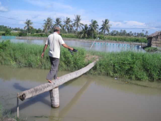 Cà Mau - Đầm Dơi (dung dăng dung dẻ)