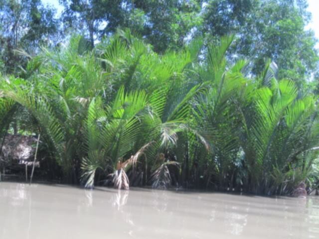 Cà Mau - Đầm Dơi (dung dăng dung dẻ)