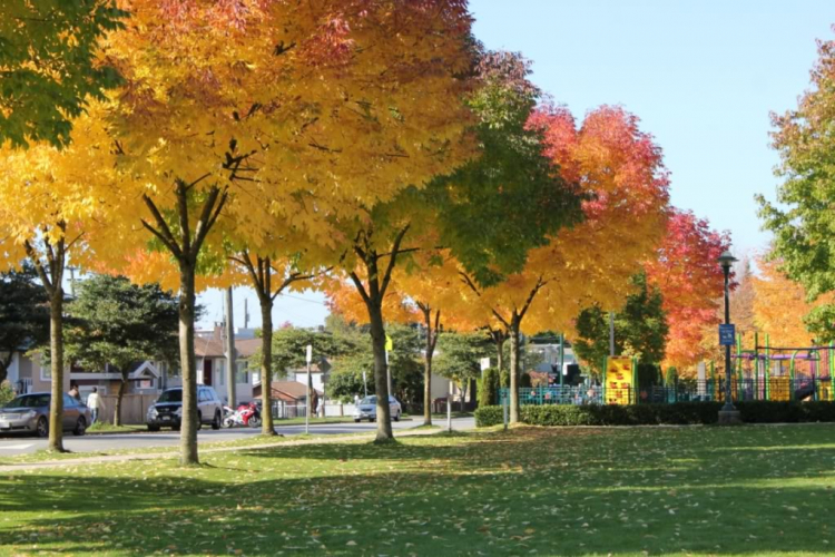 Một góc nhìn nhỏ về cuộc sống Canada.