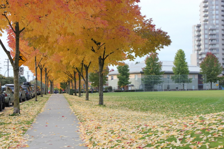 Một góc nhìn nhỏ về cuộc sống Canada.