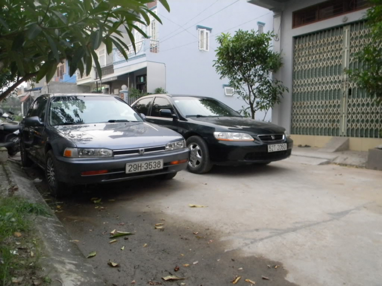 ACCORD CLUB - 2000 và 1991