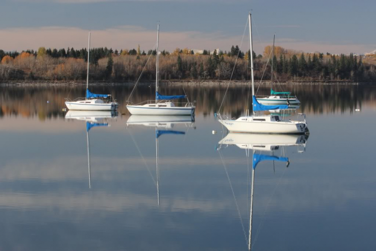 Một góc nhìn nhỏ về cuộc sống Canada. Một góc nhìn nhỏ về cuộc sống Canada.
