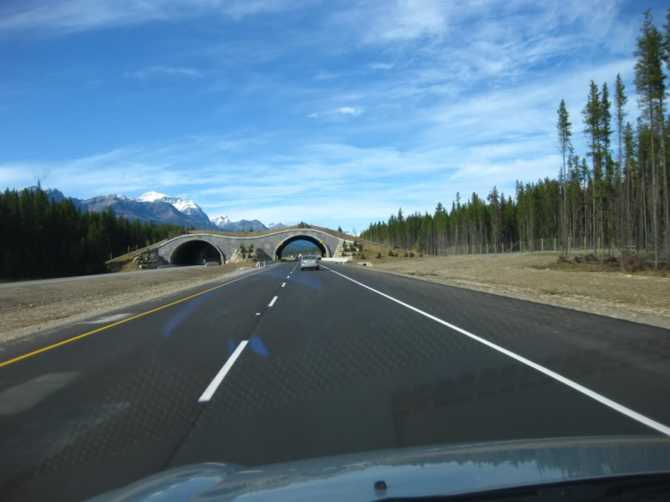 Một góc nhìn nhỏ về cuộc sống Canada.