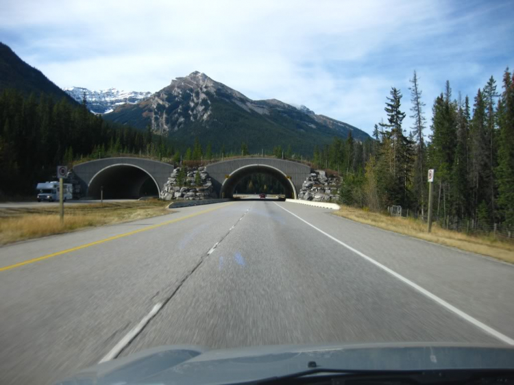 Một góc nhìn nhỏ về cuộc sống Canada.