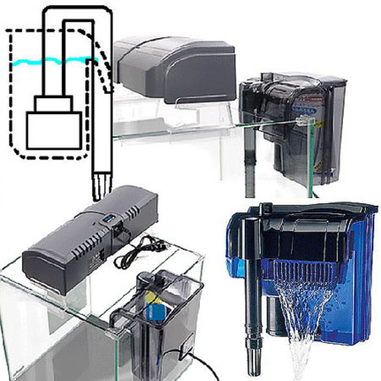 Topic dành cho thành viên của yêu Thủy sinh của Hội Matiz & Spark Topic dành cho thành viên của yêu Thủy sinh của Hội Matiz & Spark