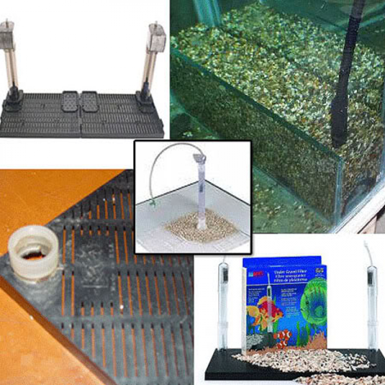 Topic dành cho thành viên của yêu Thủy sinh của Hội Matiz & Spark Topic dành cho thành viên của yêu Thủy sinh của Hội Matiz & Spark
