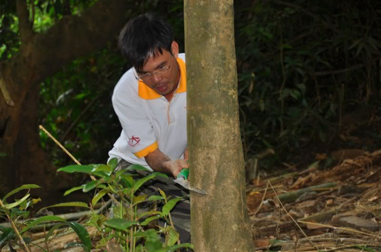 Lãng mạn Triệu Hải - Vui chơi núi rừng Madagui 22-23/10/2011 (Hình Ảnh) Lãng mạn Triệu Hải - Vui chơi núi rừng Madagui 22-23/10/2011 (Hình Ảnh)
