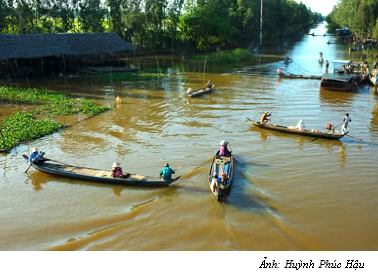 Miệt vườn