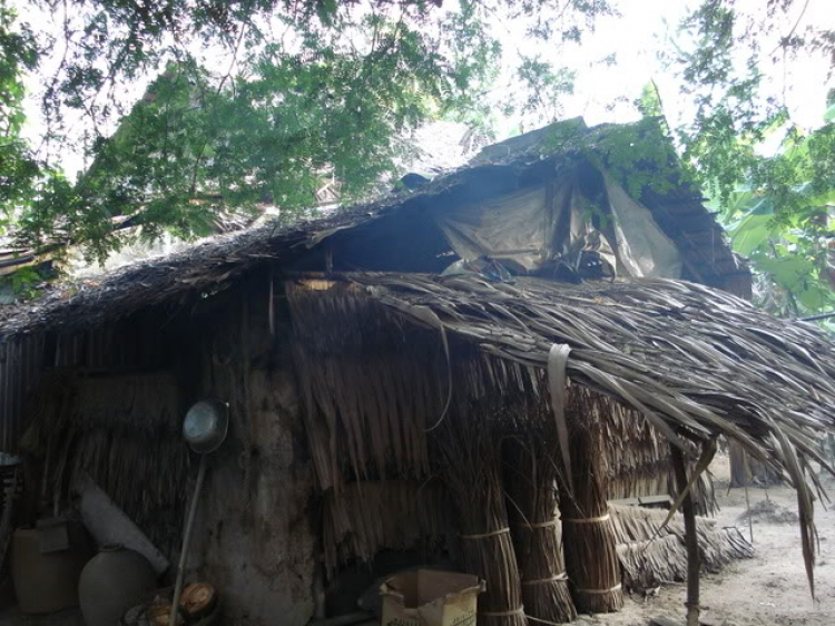 Miệt vườn