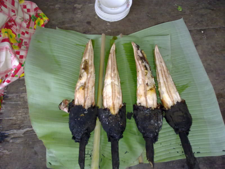 Miệt vườn