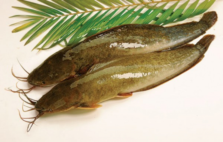 Miệt vườn