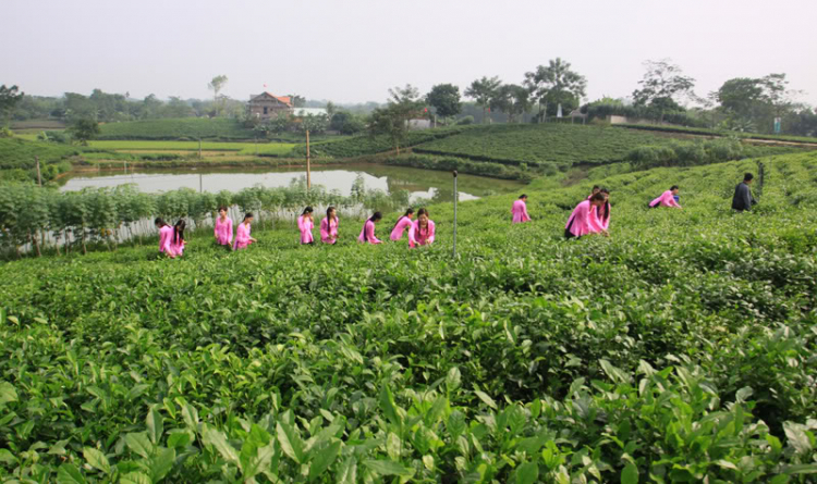 Hành trình Xuyên Việt trong 45h đồng hồ - 1880km