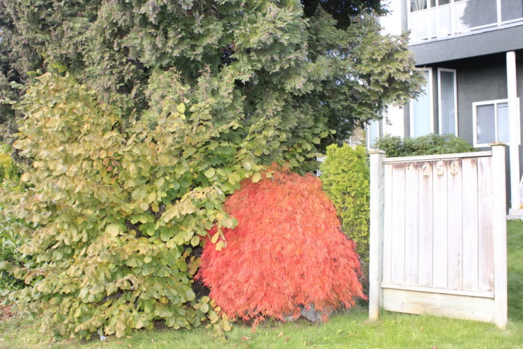 Một góc nhìn nhỏ về cuộc sống Canada. Một góc nhìn nhỏ về cuộc sống Canada.