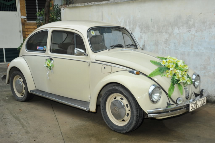 [Cần Bán] Volkswagen 1500 đời 1966