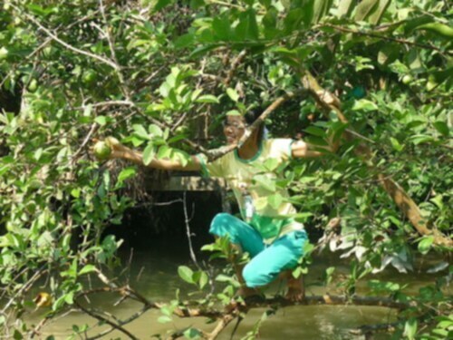 Miệt vườn