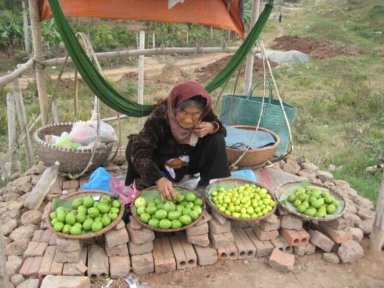 Miệt vườn