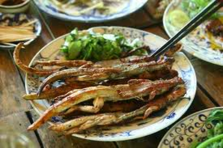Xử lý thằn lằn trong xe