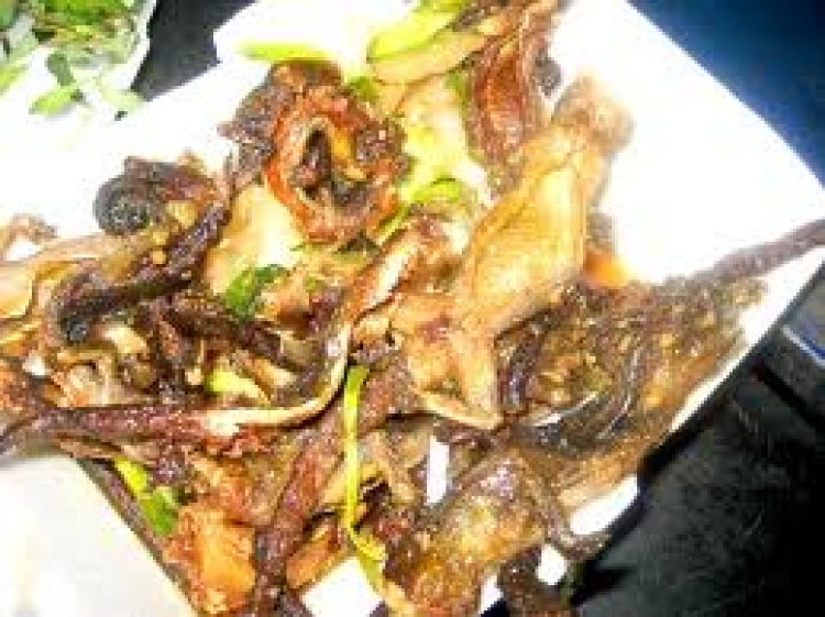 Xử lý thằn lằn trong xe