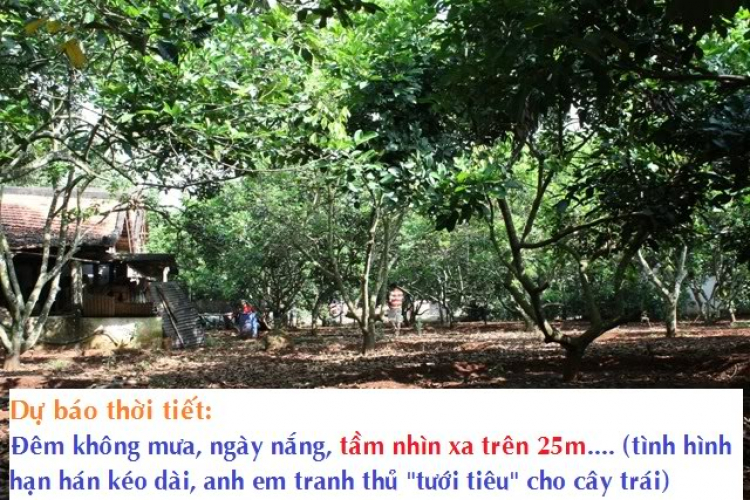 Hình ảnh offline của hội Getz tại Phan thiết ngày 19-20/11