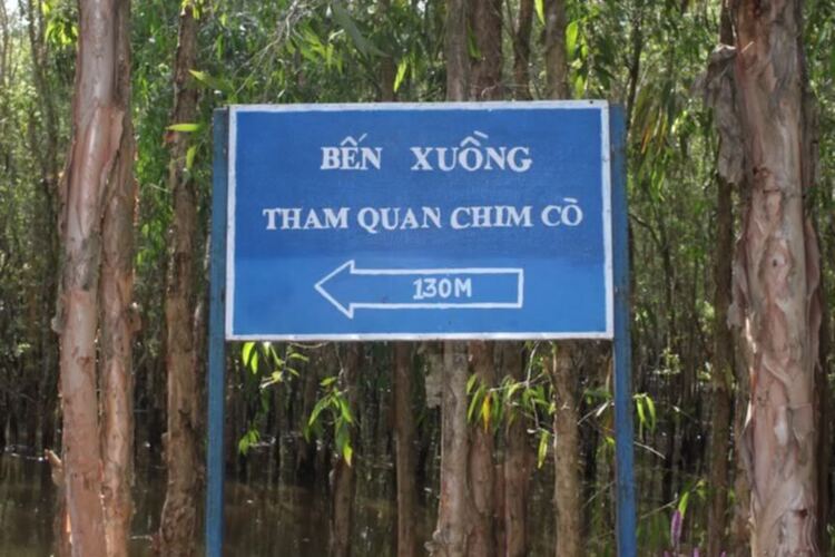 Hình ảnh tham quan Non nước Miền Tây Hình ảnh tham quan Non nước Miền Tây