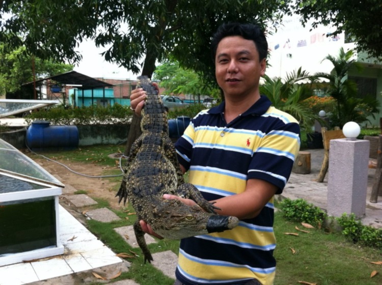 Bầu chọn cặp đôi FFC hoàn hảo năm 2011 Bầu chọn cặp đôi FFC hoàn hảo năm 2011