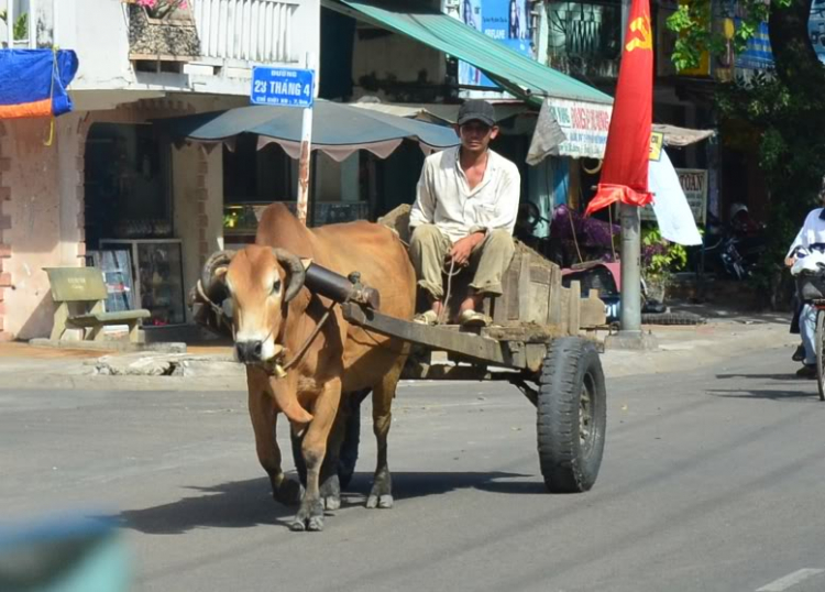 Hành trình La gi 26,27/11 Hình ảnh