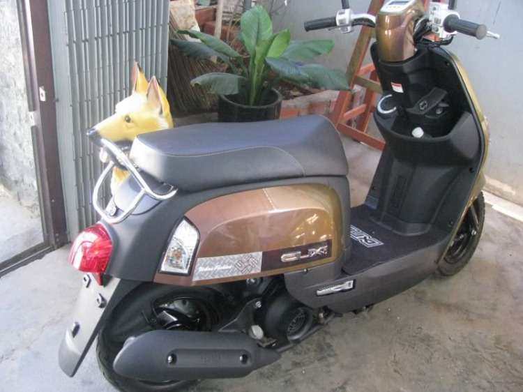 Mua bán - trao đổi  các loại xe 2 bánh .