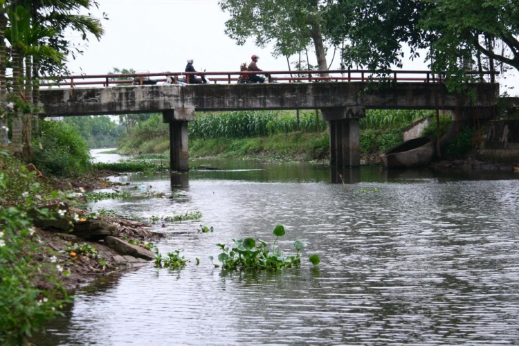 Súng mới + Nghiệp dư = hoa cỏ. Mong các bác cho nhận xét ah!